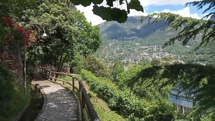 Photo avec les arbres en été lors d'une autre balade