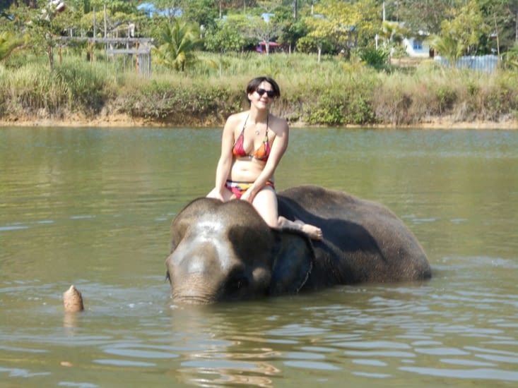 Avec les elephants !