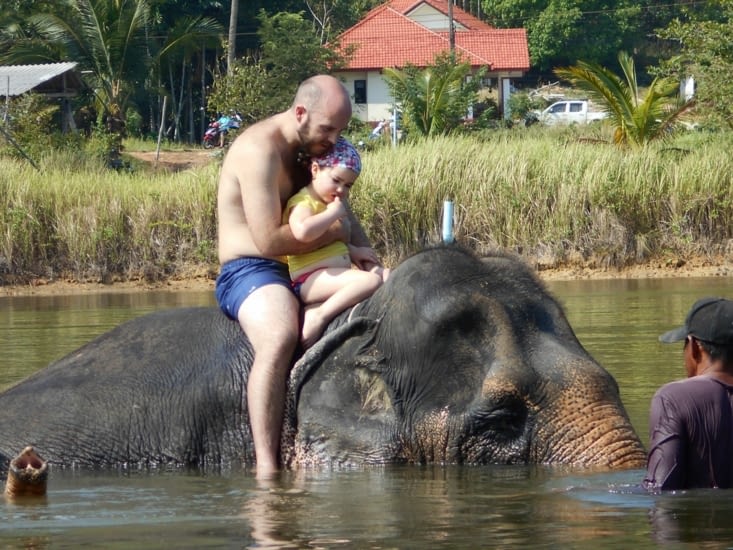 Avec les elephants !