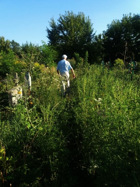 Au cimetière c'est la jungle. Nous cherchons la tombe de sa maman. Il veut me la présenter.