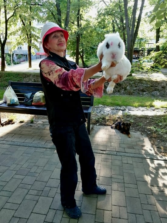 Amuser la galerie (la galerie, c'est moi)