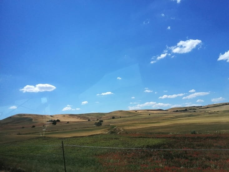 Puis des  champs de cereales