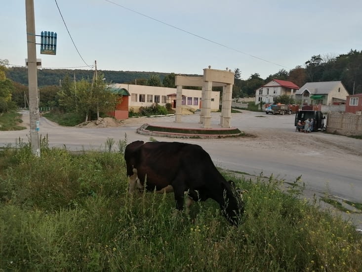 Un village en Moldavie