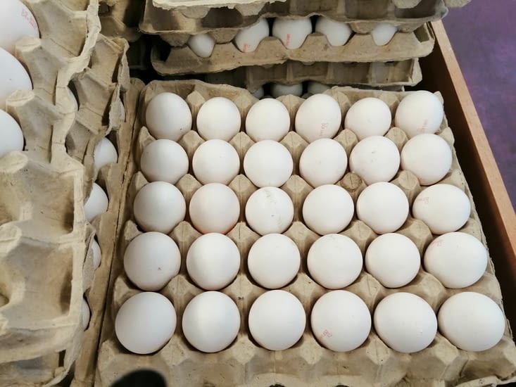 Les œufs, on les trouve aussi en briques comme le lait