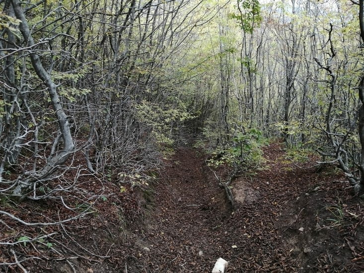 Revenons au  sentier des vaches