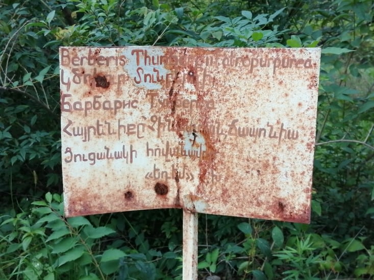 L'identification des végétaux est difficile