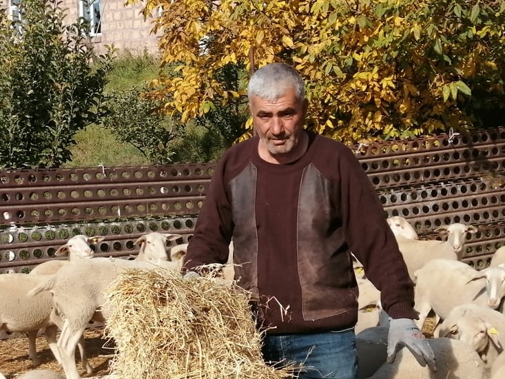Le début d'une histoire entre le berger armenien et les moutons de Haute Loire.