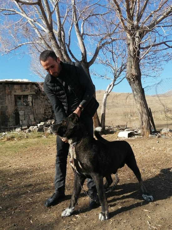 Celui là je ne l'ai pas approché