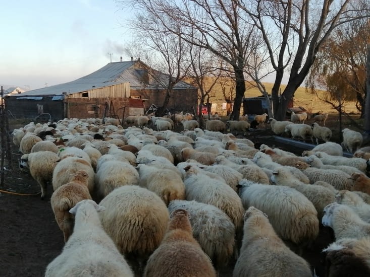 C'était le coucher du soleil