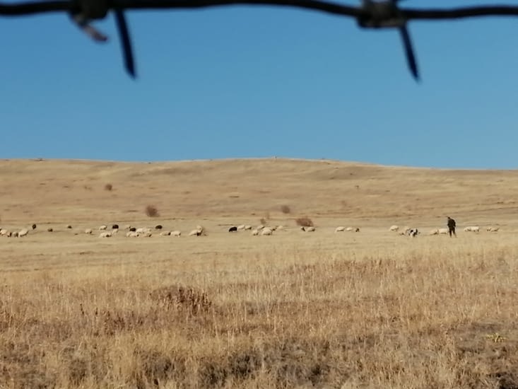 Que nous n'apercevrons que de loin