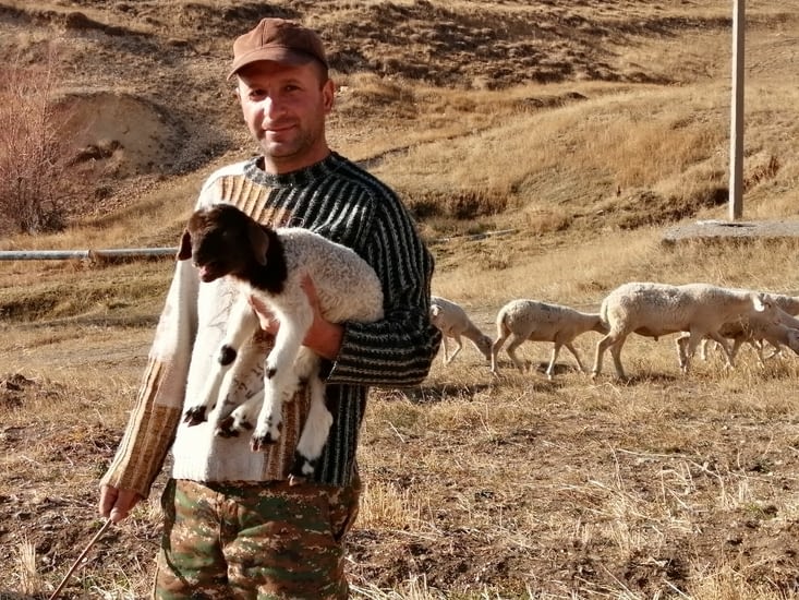 Elles font bon ménage avec leurs copines armeniennes