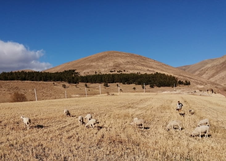 "les blanches" elles aussi mènent leur vie