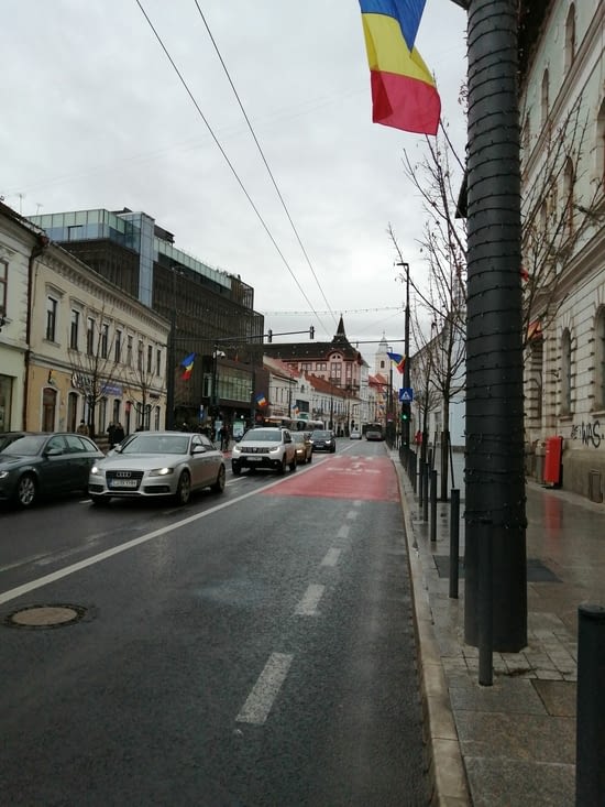 Toutes les rues sont pavoisees du drapeau roumain