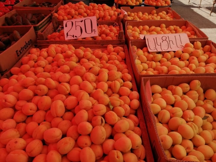 C'est la période des abricots