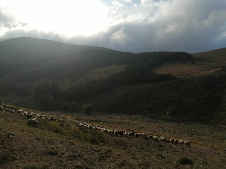 Le lendemain j'avais décidé de partir de bonne heure avec le berger.