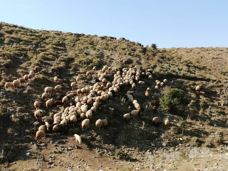 puis on a pris le chemin des crêtes