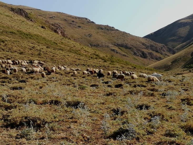 Nous avons été plus loin dans la vallée et le temps s'est dégagé.