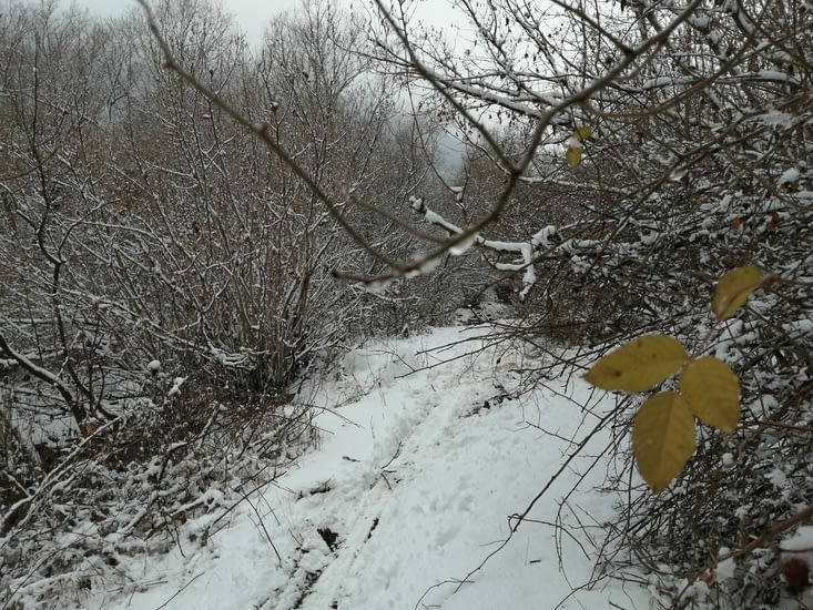 Alors je me suis perdue.