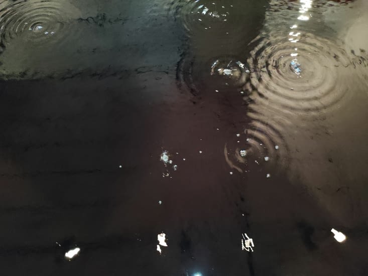 L'eau le grand sujet à Venise