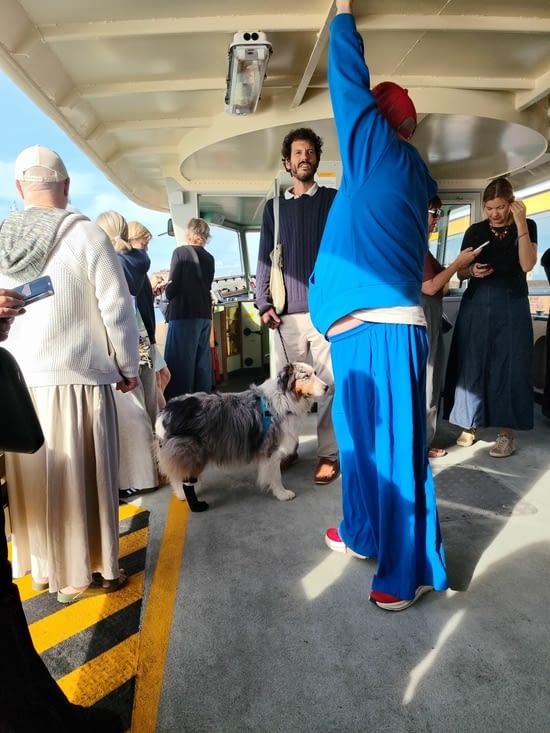Une vie de chien