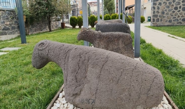 Le mouton