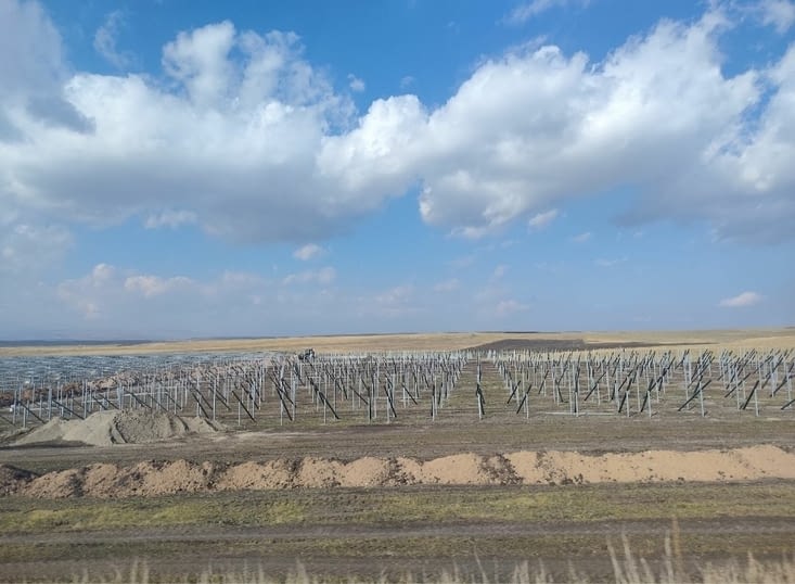 Les panneaux solaires poussent plus facilement que le blé