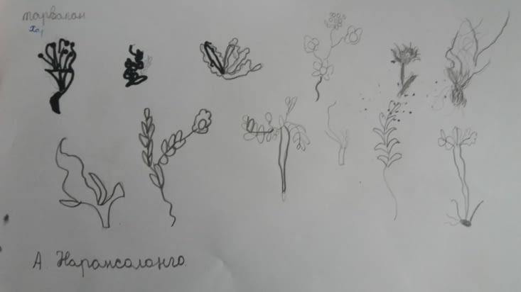 Ils aussi ont bien aimé  dessiner à  partir des herbiers qui étaient dans la classe