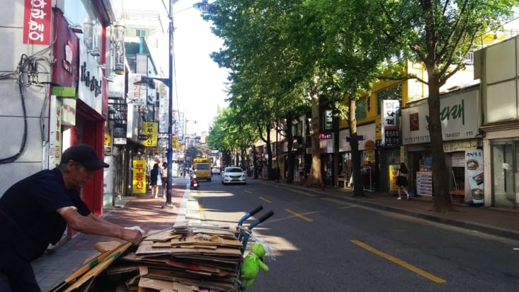Des feuilles sur les arbres, des fleurs dans les parterres et des petites lanternes de couleurs le long des  rue (pas dans celle-ci).