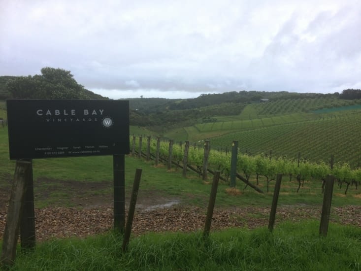 Et puis quand même, les vignes