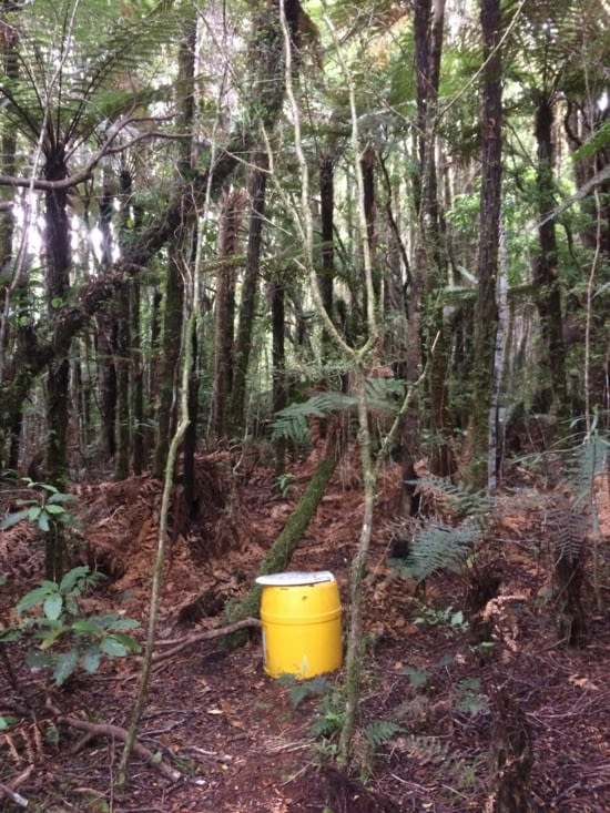 les toilettes (quel luxe!)