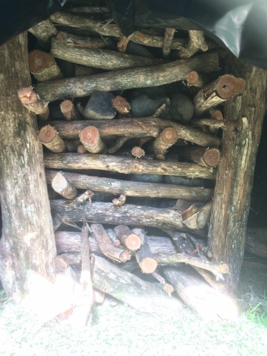 installation du bois pour le hangi