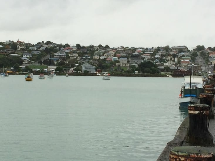 Oamaru et son port, vus depuis le ponton