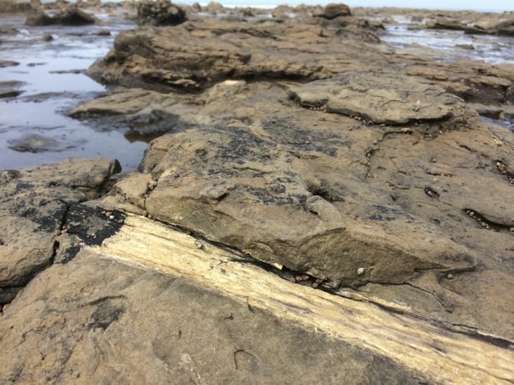 de plus près. Fascinant