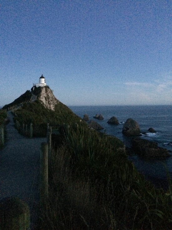 Nugget Point by night