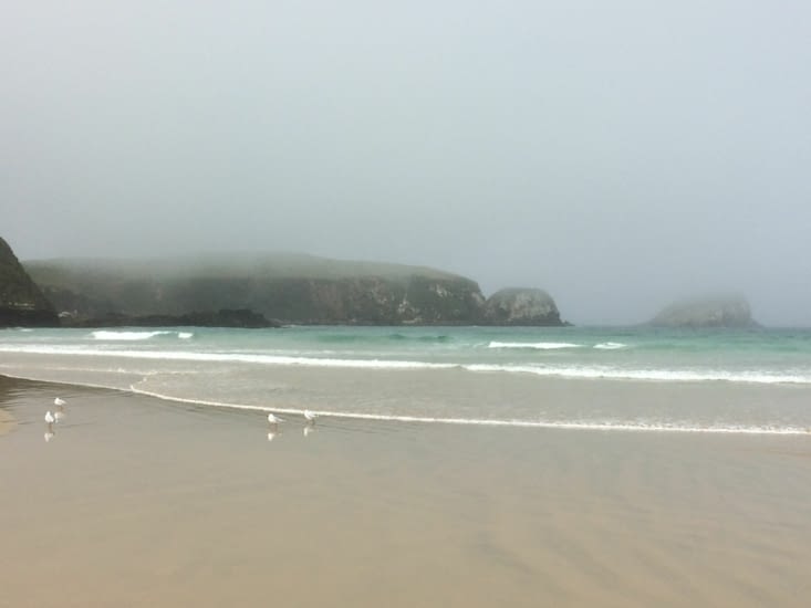 plages infinies (tautuku estuary sous le brouillard)