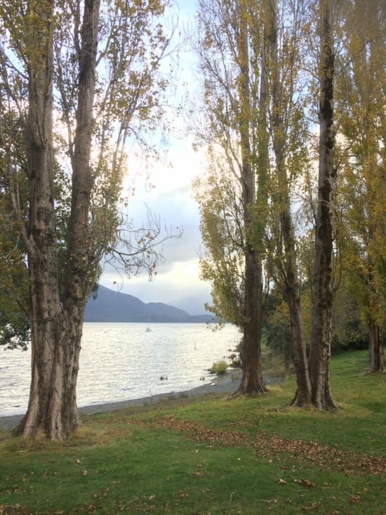 Lac Te Anau