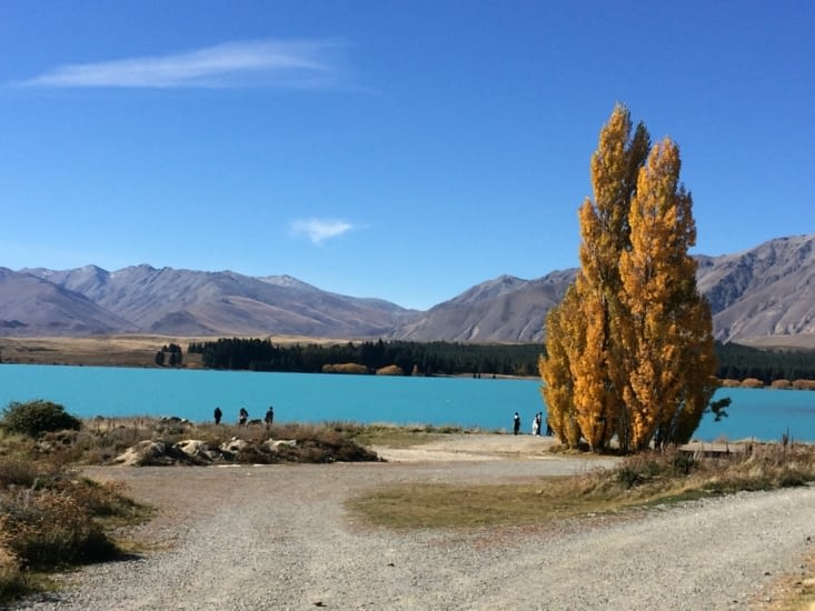 Lac Tekapo aux couleurs fabuleuses