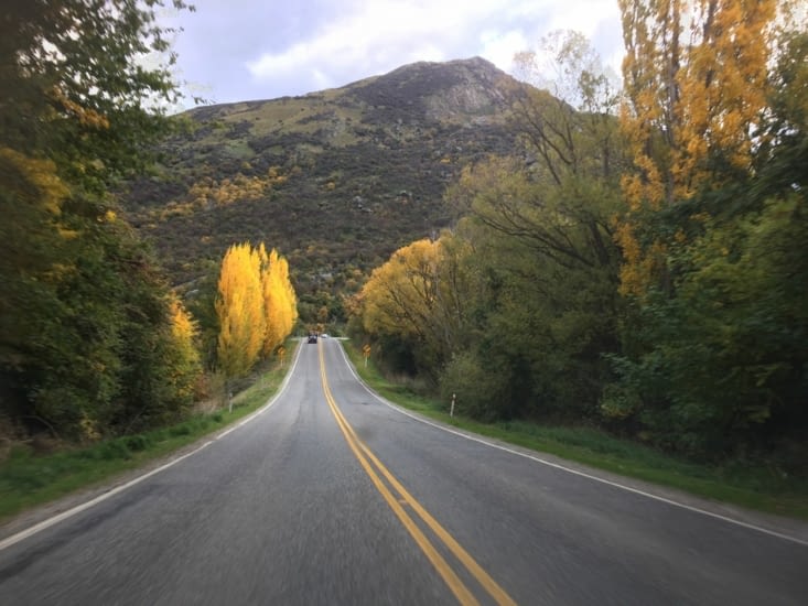 route vers mont cook. magnifique