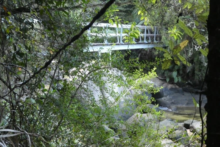 on traverse aussi un peu la jungle