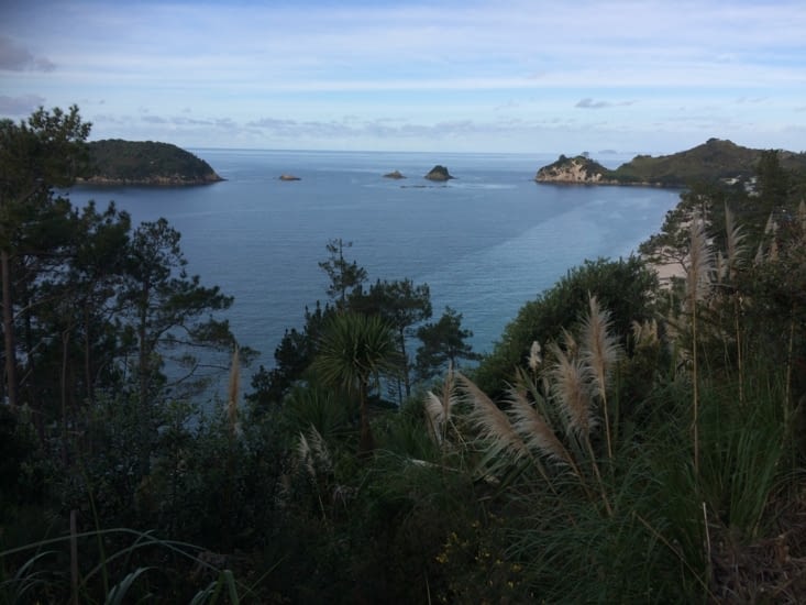 au revoir Coromandels!