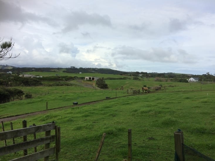 les champs tout autour de la ferme