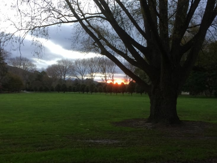 coucher de soleil dans le pré des chevaux