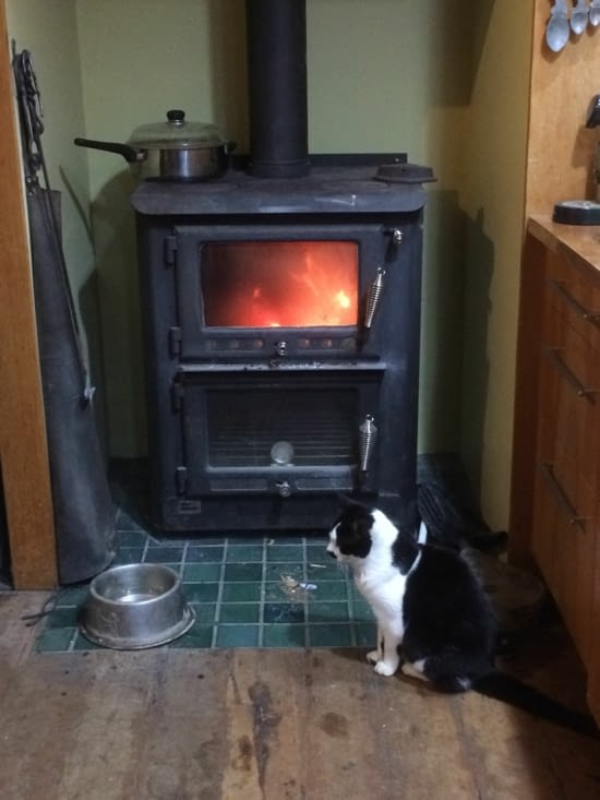 et sans oublier le chat qui aime avoir chaud!