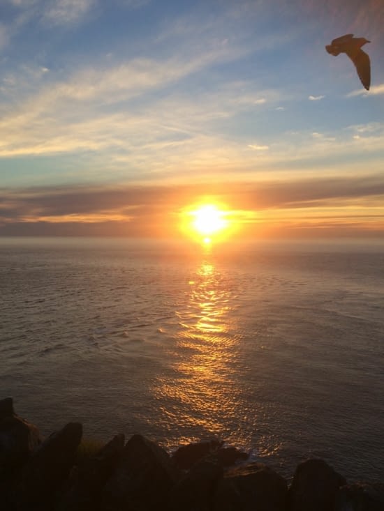 un dernier oiseau s'envole