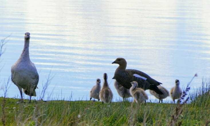 Une famille de coins