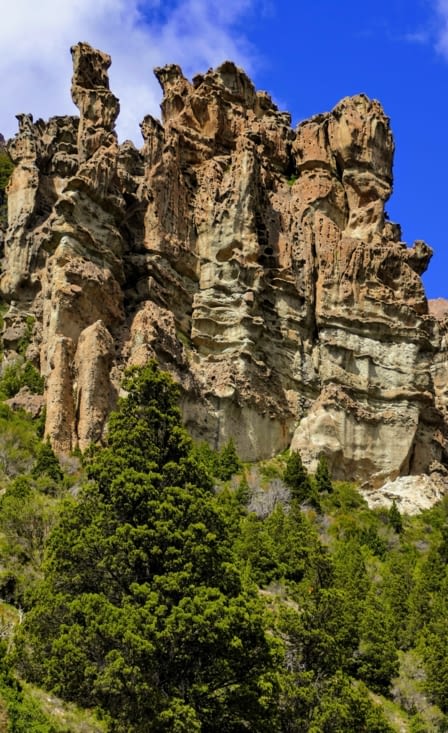 Une sculpture qui fait penser à Giger