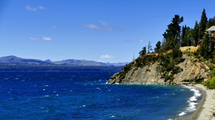 Ne soyez pas dupe, il caille sa race !