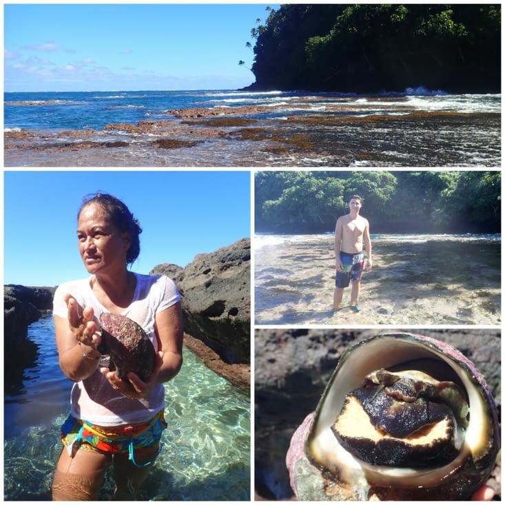 Marche sur le récif