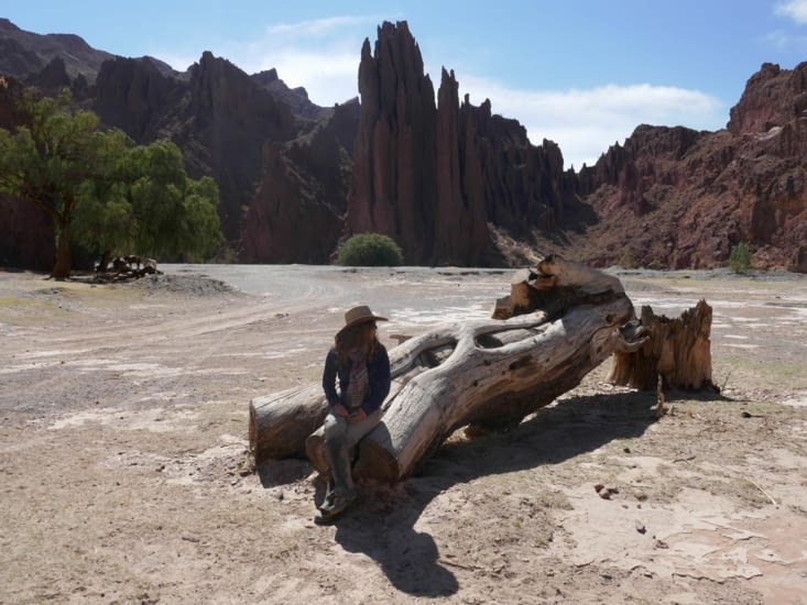 Les cows boys dans le far west