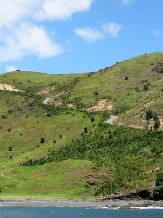 Les bouchons néo-zélandais